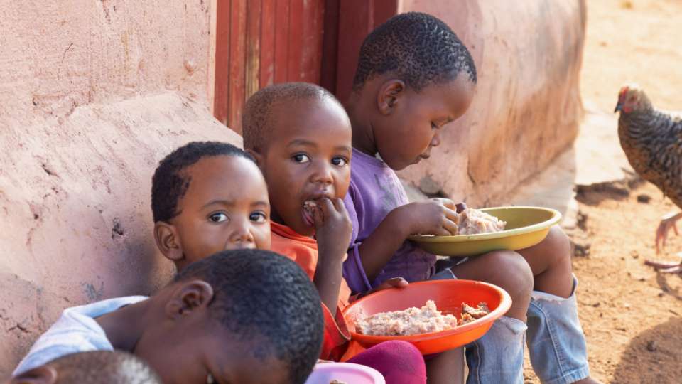 Devastating Causes of Malnutrition: Exposing the Root Factors of Nutrient Deficiencies 3 Strategies for Combating Malnutrition