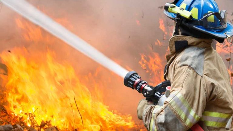 How to Prepare for a Wildfire