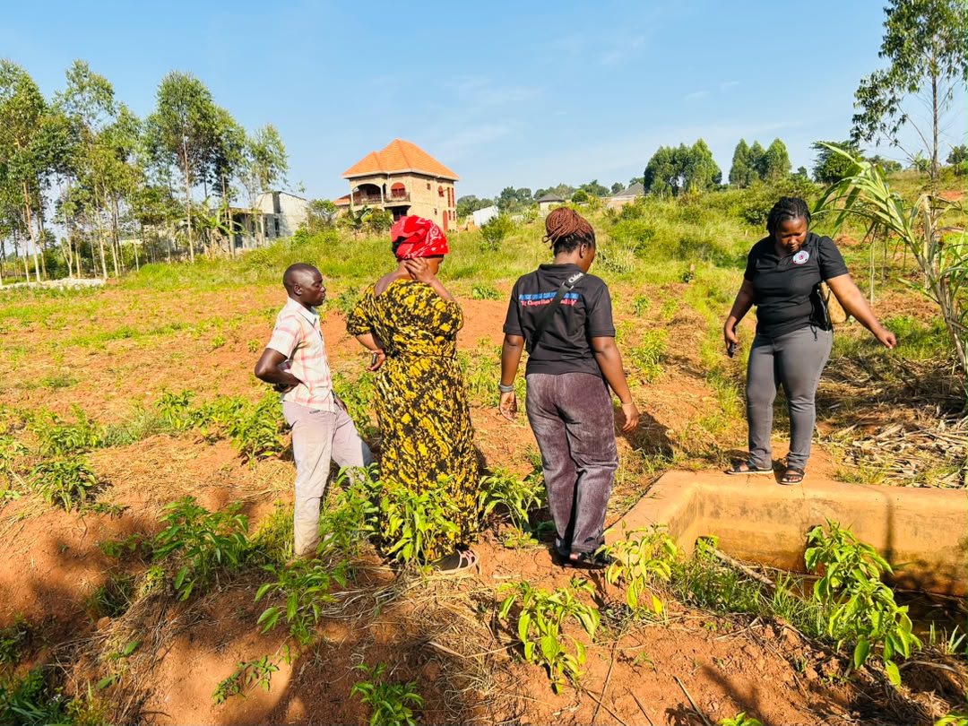 Community Water Sources Assessment (1) Community Water Sources Assessment
