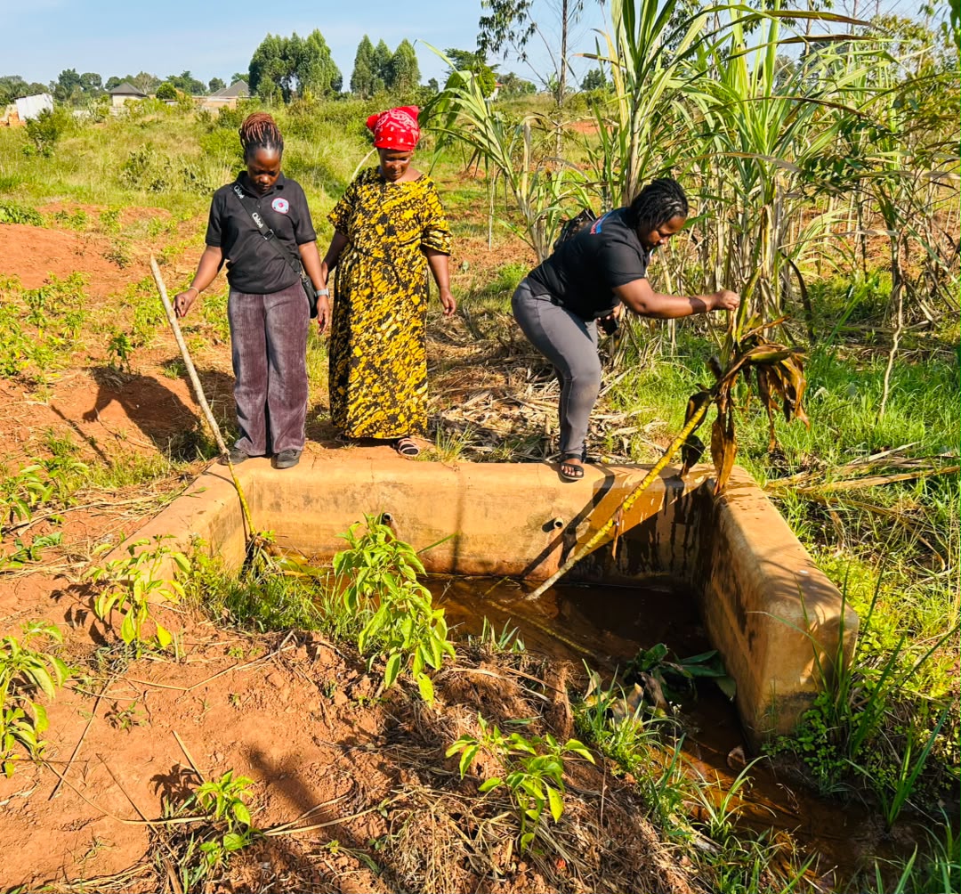 Community Water Sources Assessment (2) Community Water Sources Assessment