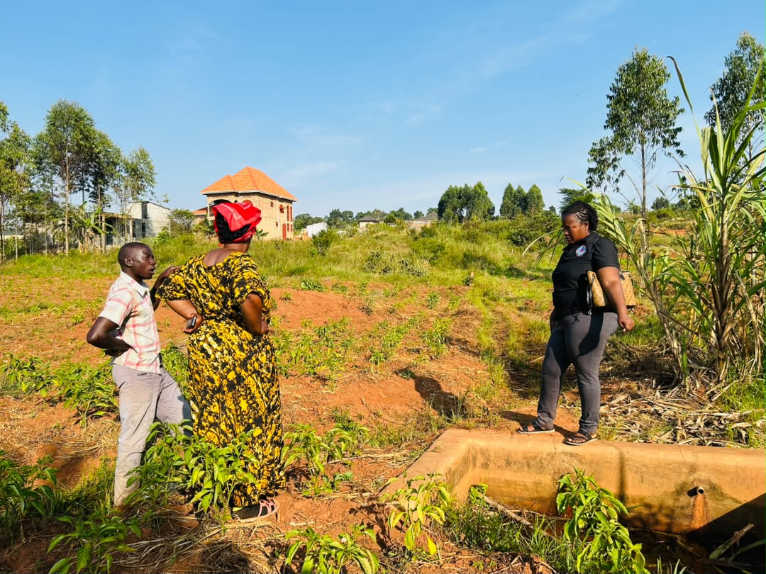 Community Water Sources Assessment (3) Community Water Sources Assessment