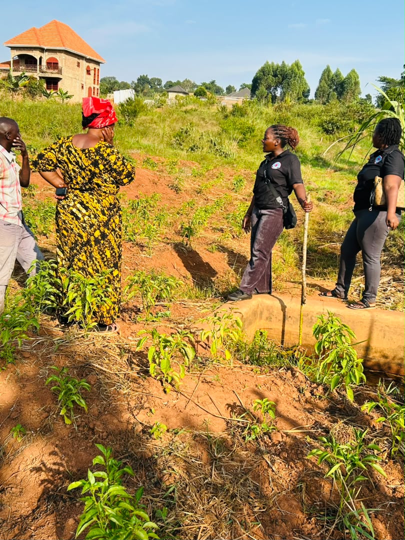 Community Water Sources Assessment (4) Community Water Sources Assessment